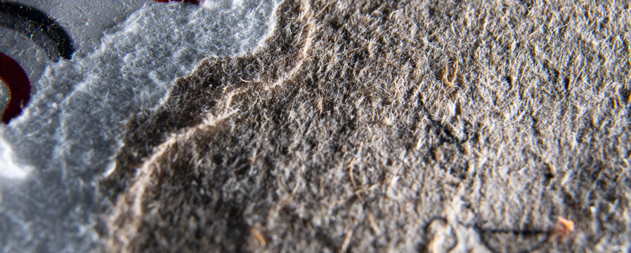 Earthy Brown and Gray Abstract Textured Fibrous Material Panorama Background Soft Focus Organic Surface Detail Natural Uneven Layers Ideal for Copy Space