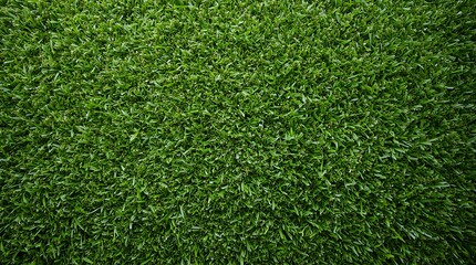 Fototapeta premium Lush Green Artificial Grass Texture for Backgrounds and Design.