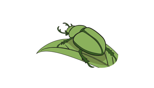 Green beetle insect sitting on leaf nature graphic