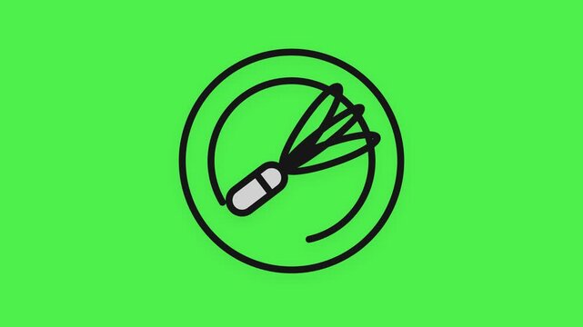 Minimalist Kitchen Whisk Icon on Green Screen