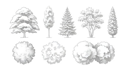 Hand drawn tree sketches in pencil style, set of 8 architectural landscape plant icons, vintage botanical tree illustrations for site plans © I'm_coming