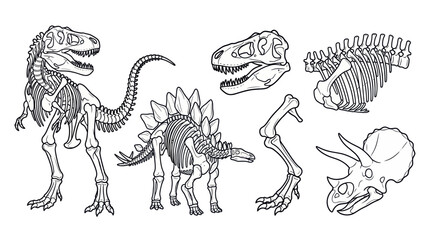 Dinosaur Skeletons Collection: Tyrannosaurus Rex, Stegosaurus, Triceratops, Fossil Bones © hakim