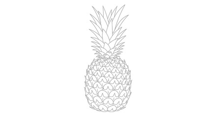Obraz premium A line art illustration of a pineapple sits on a table indoors.