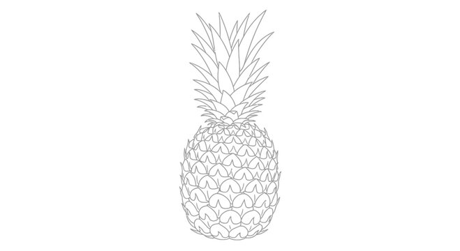 A line art illustration of a pineapple sits on a table indoors.