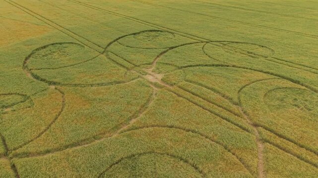 Aerial footage of a mysterious, intricate, geometric crop art, crop circle formation in a barley field near Snap Hill, Kingweston, Somerset, England, UK; 10 May 2026