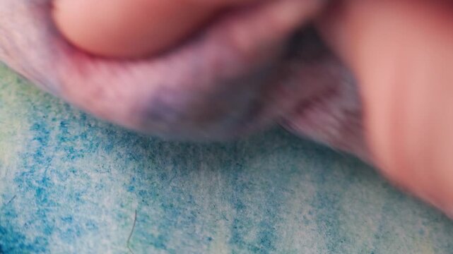 An artist blots watercolor paints on paper with a rag