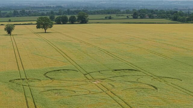 Aerial footage of a mysterious, intricate, geometric crop art, crop circle formation in a barley field near near Snap Hill, Kingweston, Somerset, England, UK; 10 May 2026