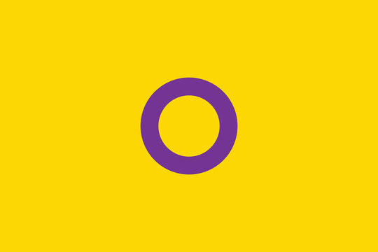 Intersex flag pride vector illustration. Term describe a person with both male and female sex characteristics at birth.
