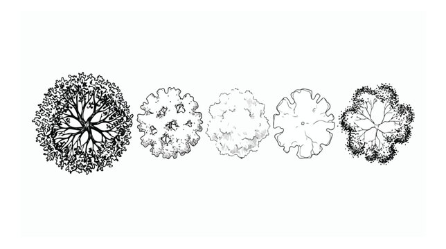 Architectural tree symbols for site plan design, set of 5 hand drawn landscape plan view trees, black and white sketch vector elements for masterplan