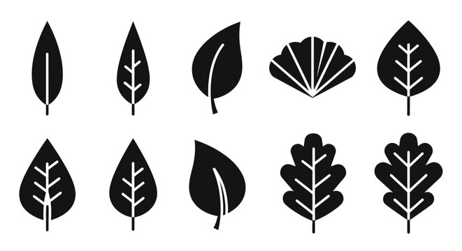 Set of Simple Black Leaf Icons in Various Shapes, Isolated White Background