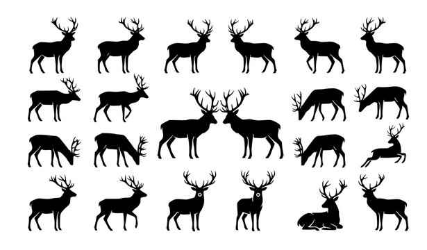 Two Deer Silhouettes with Antlers Black Wildlife Animal Vector Illustration Set