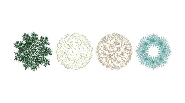 Top view landscape trees and bushes vector set, architectural garden plant symbols for site plans, green and beige foliage icons for masterplan design