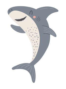 Cute little friendly shark illustration isolated. Kawaii cartoon character. Wild animal, marine, aquatic life, wildlife, nature, fauna. Kids print, design element, clip art. Hand drawn flat vector