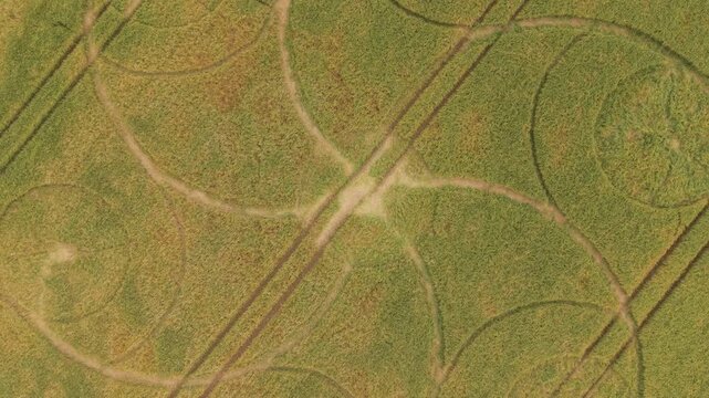 Aerial footage of a mysterious, intricate, geometric crop art, crop circle formation in a barley field near near Snap Hill, Kingweston, Somerset, England, UK; 10 May 2026