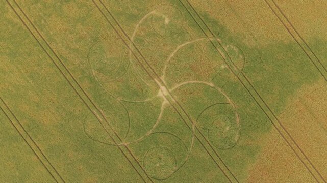 Aerial footage of a mysterious, intricate, geometric crop art, crop circle formation in a barley field near near Snap Hill, Kingweston, Somerset, England, UK; 10 May 2026