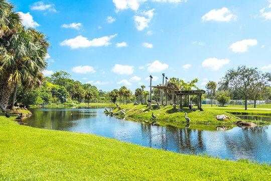 Lion Country Safari drive through park in West Palm Beach Florida. Cars driving near animals in cage free animal zoo