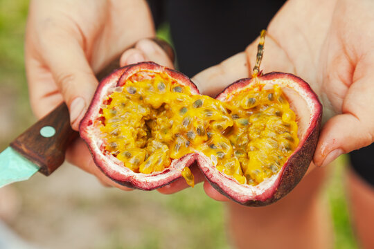 Cut passion fruit held in hands