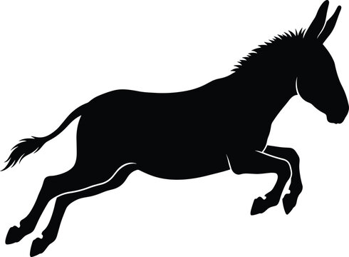 black, silhouette, jumping, donkey, isolated, white, background, vector, illustration, animal, mammal, mule, farm, burro, action, graphic, design, art, leaping, domestic