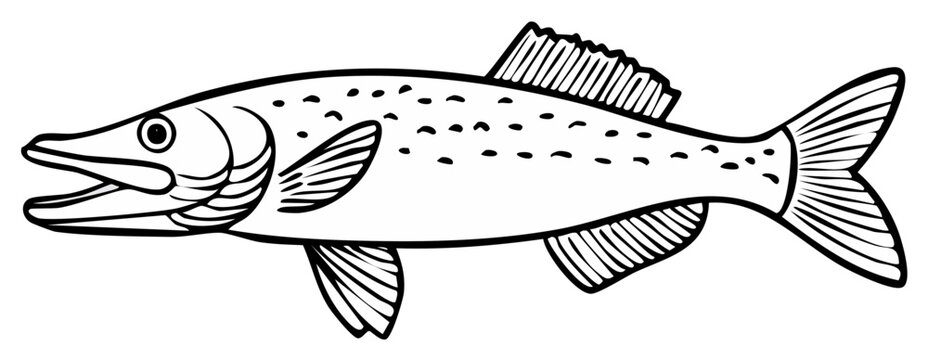 Black and white illustration of a fish with open mouth and spots.