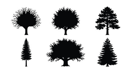 Black tree silhouettes set, 6 deciduous and coniferous forest tree icons, minimalist nature vector elements for landscape design and architectural site plans © Alea_John