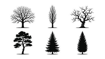 Black tree silhouettes set, 6 minimalist forest tree icons, deciduous and coniferous tree vector illustrations for landscape design and logos © Alea_John