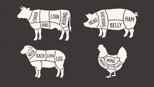 Meat cuts set. Diagrams for butcher shop. Scheme of chicken, beef, pork etc. Animal silhouettes. Guide for cutting.