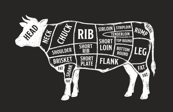 Cut of beef set. Poster Butcher diagram and scheme - Cow. Vintage typographic hand-drawn. Vector illustration.