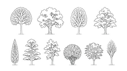 Minimalist line art tree icons set, 10 black and white vector tree silhouettes, botanical nature illustrations for landscape design and architecture © Alea_John