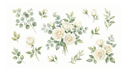 Watercolor white roses and eucalyptus greenery collection, elegant floral bouquet and individual botanical elements, soft cream rose vector set © Alea_John