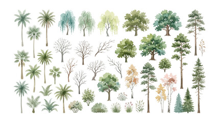 Watercolor tree collection with palm trees and pine trees, botanical vector set of 35 forest and tropical plants, hand painted garden greenery © Alea_John