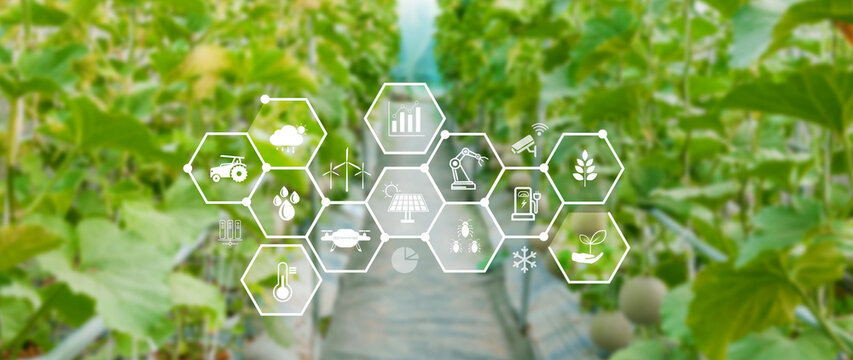 Smart agriculture and agritech concept. Hand using touching digital icons interface of modern farming technology, Agribusiness innovation and smart farming management. not ai