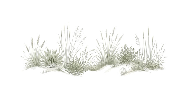 Minimalist wild grass vector illustration, botanical meadow plants on sand dunes, sage green field herbs and coastal vegetation border