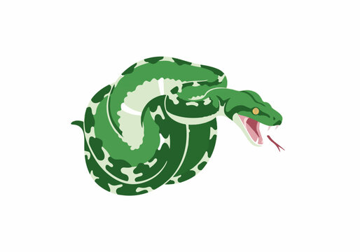 Illustration of a Green Python Snake Cartoon Style