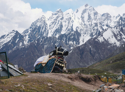 Nandi statue near Adi Kailash in Uttarakhand, India, a sacred pilgrimage destination in the Indian Himalayas