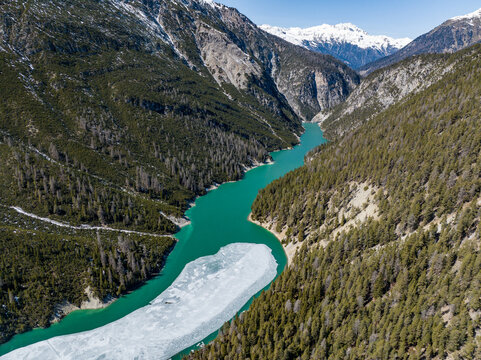 Aerial view of turquoise mountain Lai da Ova Spin lake waters with ice on the surface near Fuorn Pass surrounded by dense pine forests and snowy peaks in Val Mustair, Grisons, Switzerland.