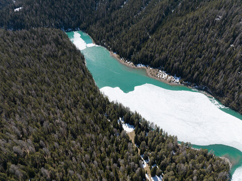 Aerial view of a turquoise alpine lake partially covered in ice and snow surrounded by dense evergreen forests near Fuorn Pass in Val Mustair, Grisons, Switzerland.