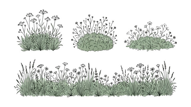 Vintage botanical wildflower meadow illustrations, hand drawn garden grass and field flower set, rustic sage green floral border vector