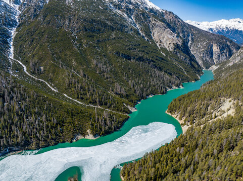 Aerial view of a turquoise alpine Lai da Ova Spin lake with melting ice floes surrounded by dense pine forests and rugged mountain slopes in Val Mustair, Grisons, Switzerland.