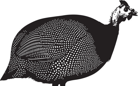 Black and white of a stylized peacock feather with intricate patterns stylized monochrome