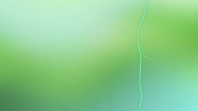 green gradient background texture