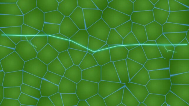 green leaf vein network with glowing blue line