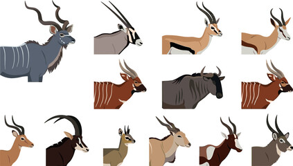 Flat design African antelope profile portraits icon set featuring kudu oryx gazelle wildebeest bongo horns isolated on white background vector illustration © MdMehedi