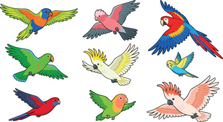 Cute cartoon exotic flying parrot bird character set featuring macaw cockatoo lorikeet parakeet lovebird budgerigar isolated on white background vector illustration © MdMehedi