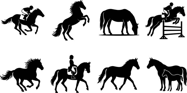 Horse silhouettes collection featuring galloping, rearing, grazing, jumping, trotting, walking, and mare with foal