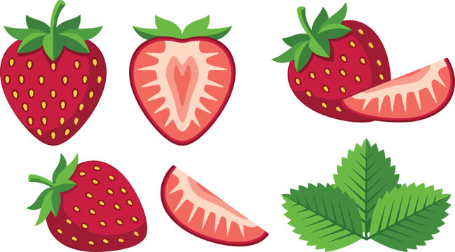 Fresh Strawberry Vector Set with Whole Berries, Half Cut Fruit, Sweet Slices, and Isolated Green Leaves for Summer Dessert and Organic Food Branding