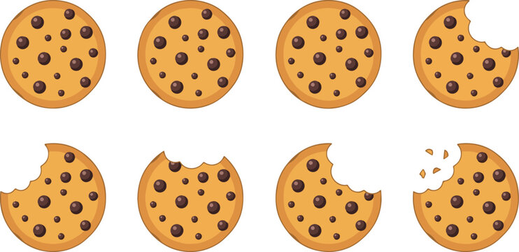 Chocolate chip cookies in various stages of being bitten and broken on white background
