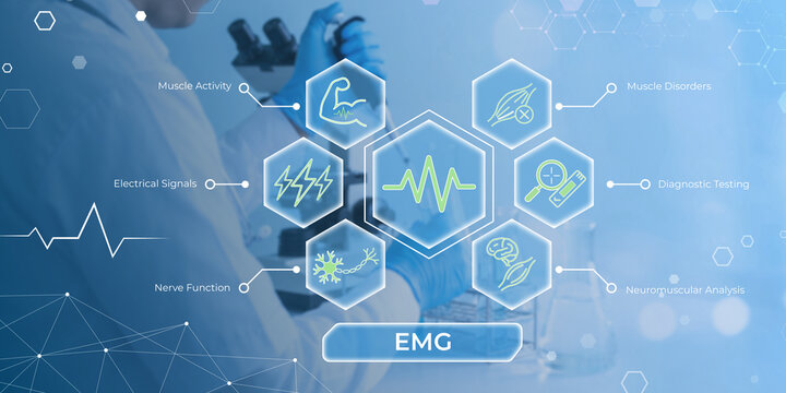 Electromyography EMG Testing Showing Muscle Activity Nerve Function and Diagnostic Applications in Medical Field