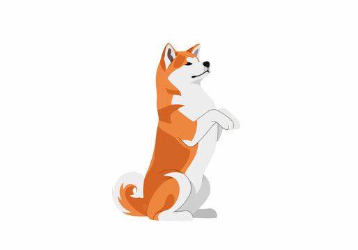Cute cartoon Shiba Inu dog sitting with crossed legs