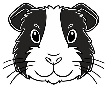 Cute black and white cartoon guinea pig face illustration. Adorable smiling cavy pet portrait.