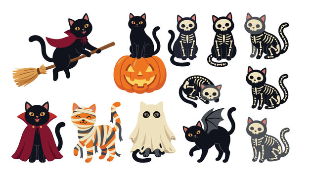Halloween black cat cartoon character set. Spooky witch broom, jack o lantern pumpkin, skeleton bones, vampire cape, ghost sheet and mummy costume vectors.